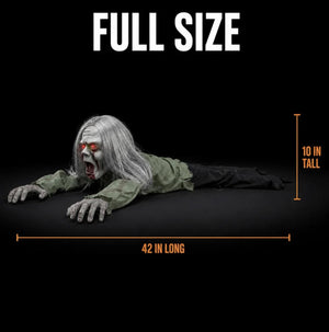 Full size 42 inches