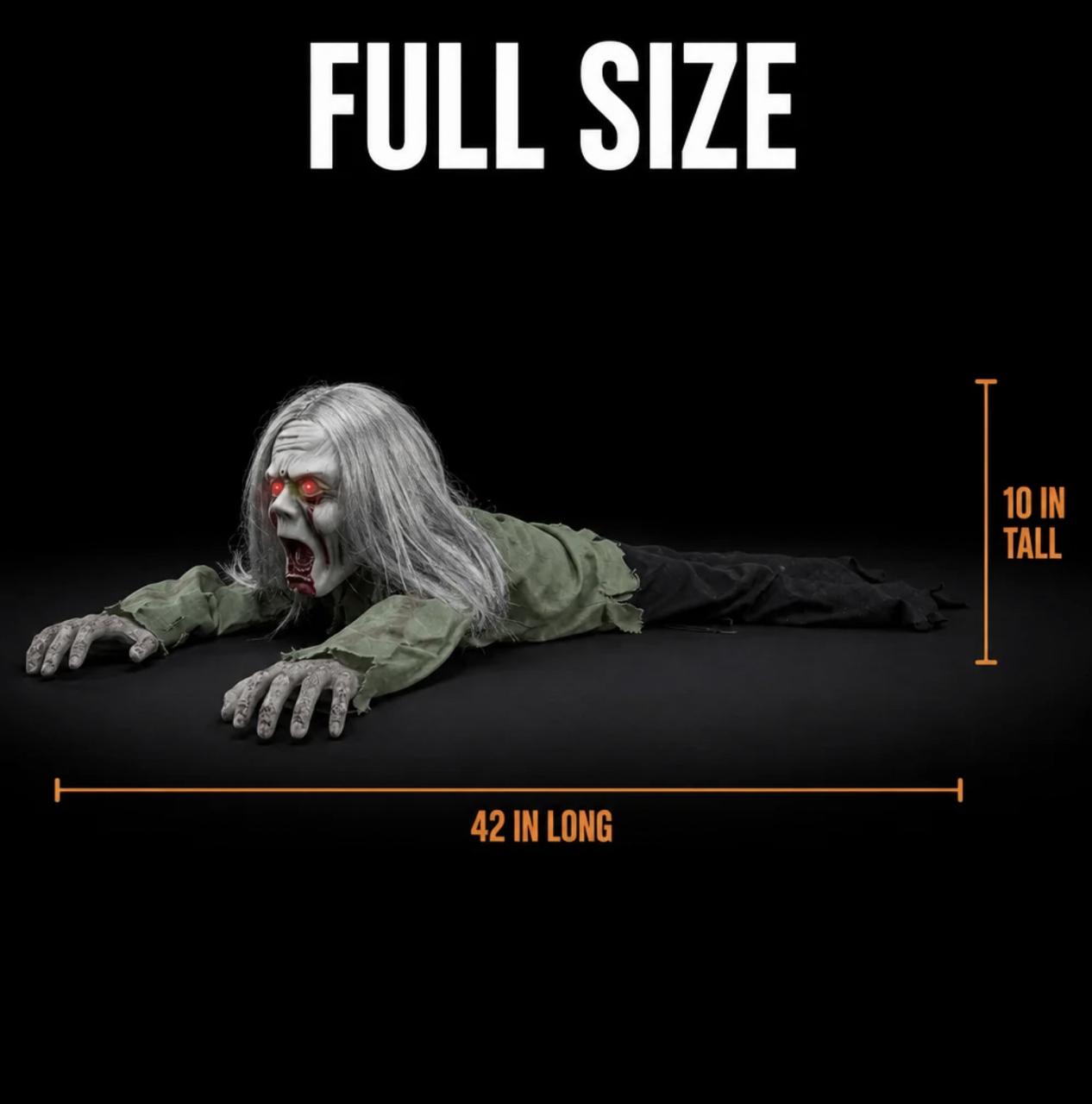 Full size 42 inches